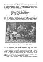 giornale/RML0017740/1918/unico/00000921