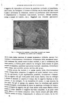 giornale/RML0017740/1919/unico/00000185