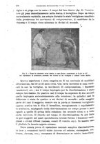 giornale/RML0017740/1919/unico/00000186