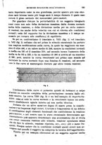 giornale/RML0017740/1919/unico/00000201