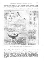 giornale/RML0017740/1919/unico/00001297