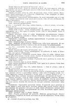 giornale/RML0017740/1919/unico/00001425