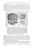 giornale/RML0017740/1920/unico/00000719