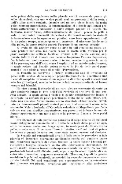 Giornale di medicina militare