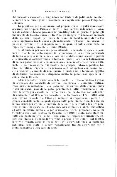 Giornale di medicina militare