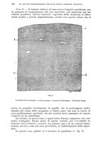 giornale/RML0017740/1924/unico/00000138