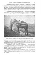 giornale/RML0017740/1924/unico/00000309