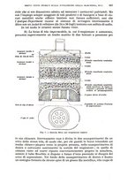 giornale/RML0017740/1924/unico/00000603