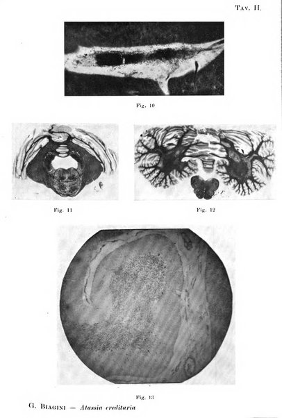 Giornale di medicina militare