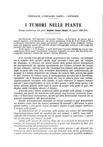 giornale/RML0017740/1933/unico/00000682