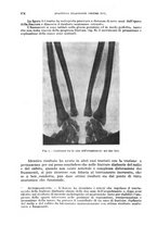 giornale/RML0017740/1933/unico/00000780