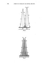 giornale/RML0017740/1933/unico/00000952