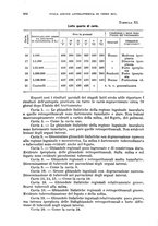 giornale/RML0017740/1934/unico/00001086