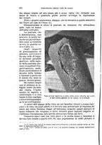 giornale/RML0017740/1935/unico/00000848