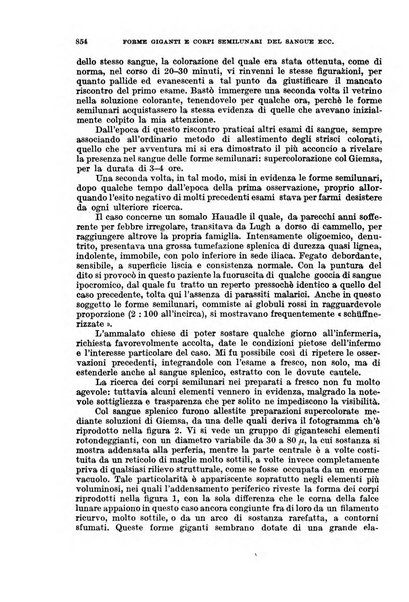 Giornale di medicina militare