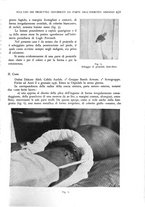 giornale/RML0017740/1936/unico/00000453