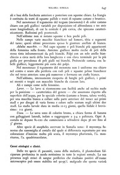 Giornale di medicina militare