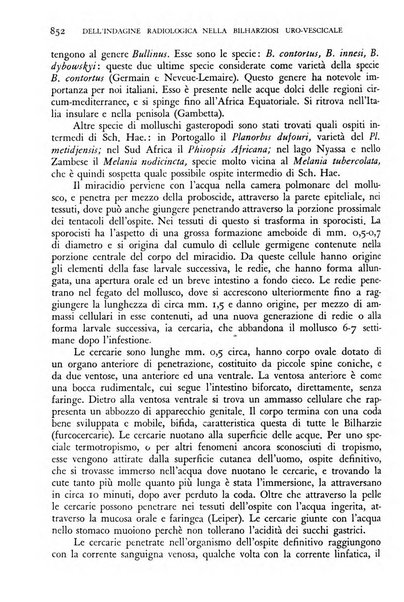 Giornale di medicina militare