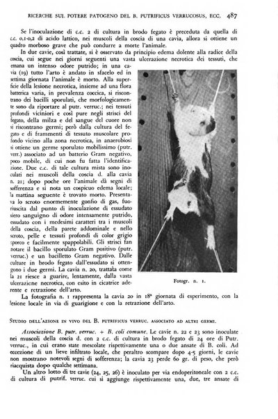 Giornale di medicina militare