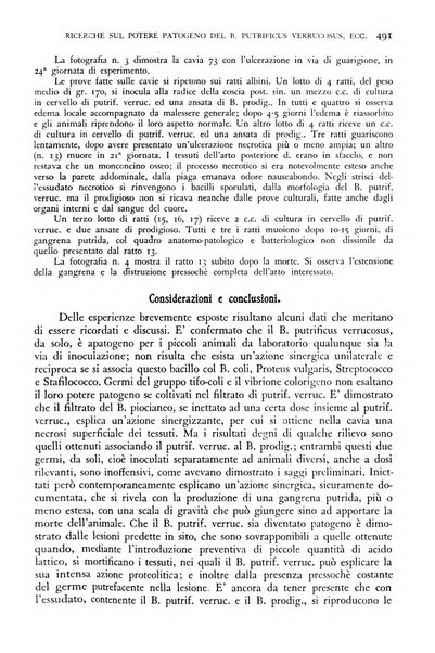 Giornale di medicina militare