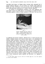 giornale/RML0017740/1938/unico/00000836