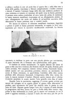 giornale/RML0017740/1940/unico/00000059