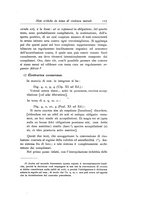 giornale/RML0017865/1934/unico/00000133