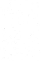 giornale/RML0018427/1929/unico/00000003