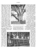 giornale/RML0020289/1924/v.1/00000200