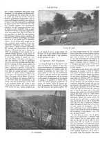 giornale/RML0020289/1929/v.1/00000611