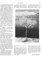 giornale/RML0020289/1933/unico/00000113