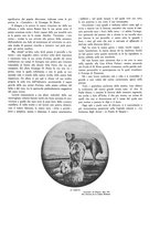 giornale/RML0020322/1928-1929/unico/00000123