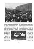 giornale/RML0020322/1928-1929/unico/00000206
