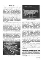 giornale/RML0020687/1936/unico/00000013