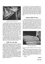giornale/RML0020687/1936/unico/00000015