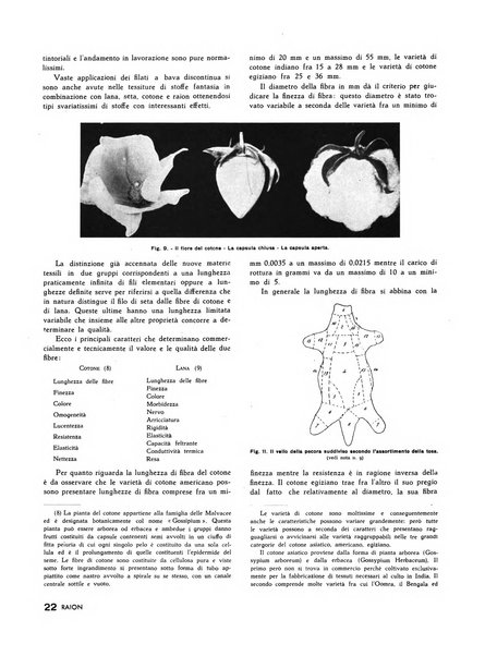Raion rivista tecnico economica dei tessili moderni