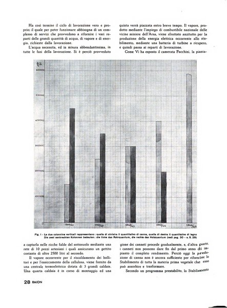 Raion rivista tecnico economica dei tessili moderni