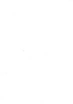 giornale/RML0020687/1941/unico/00000003