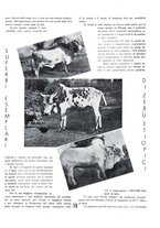 giornale/RML0020753/1937/unico/00000057