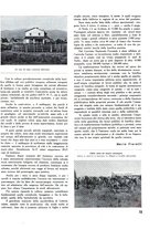 giornale/RML0020753/1937/unico/00000061