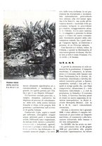 giornale/RML0020753/1937/unico/00000472