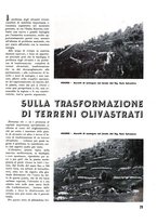 giornale/RML0020753/1938/unico/00000137
