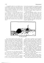 giornale/RML0020787/1929/unico/00000486
