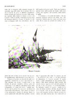 giornale/RML0020787/1929/unico/00000543