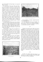 giornale/RML0020787/1932/unico/00000471