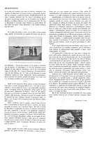 giornale/RML0020787/1933/unico/00000177