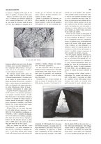 giornale/RML0020787/1933/unico/00000401
