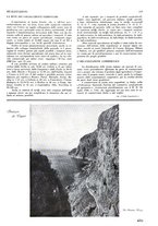 giornale/RML0020787/1934/unico/00000247