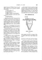 giornale/RML0020840/1937/unico/00000445