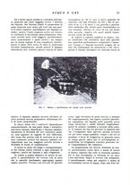 giornale/RML0020840/1940/unico/00000029